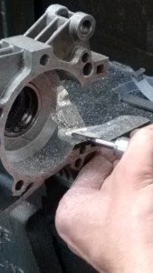 IMG_20151017_123539446