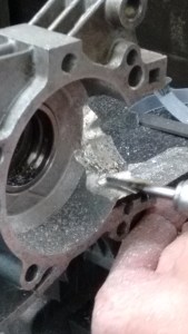 IMG_20151017_123548551